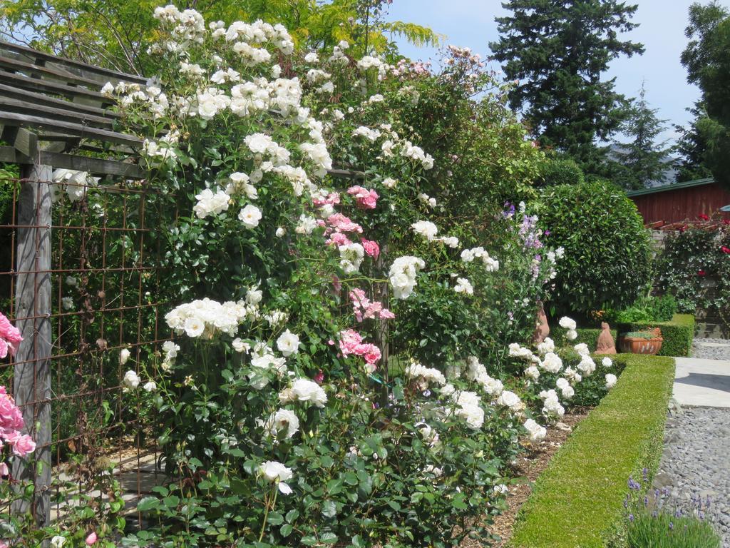 Marchmont Gardens Bed & Breakfast Hanmer Springs Exterior photo