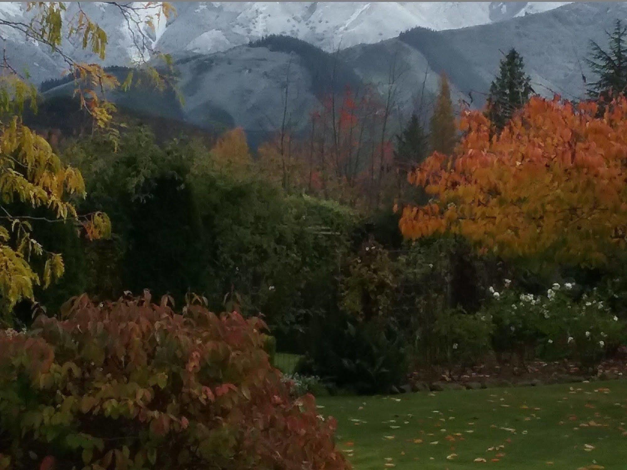 Marchmont Gardens Bed & Breakfast Hanmer Springs Exterior photo